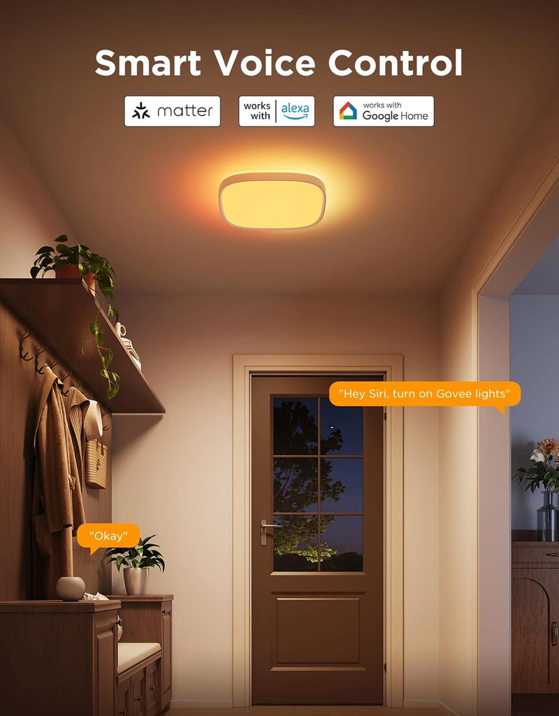 LED Ceiling Light 2400lm Smart Rgbic Lights Square