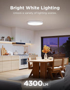 Govee Rgbic Ceiling Light 48.5W Smart LED 4300lm