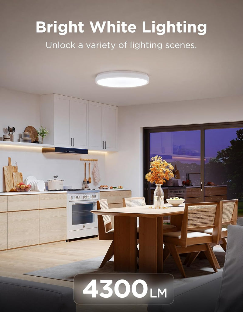 Ceiling Light 48.5W Smart LED 4300lm ø38CM