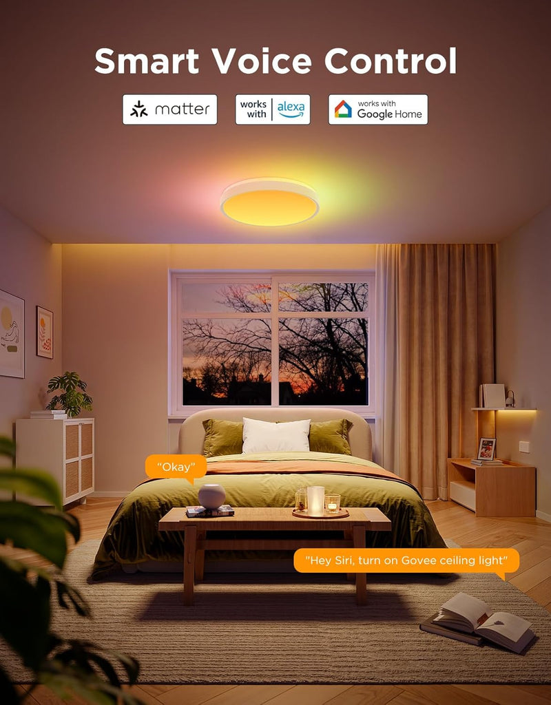 Ceiling Light 48.5W Smart LED 4300lm ø38CM