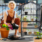 Greenhouse for Balcony Pvc Film Steel