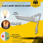 Grinning Gargoyle LED Light for Desk Dimmer Lamp