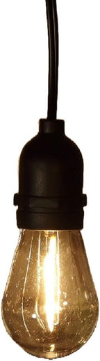 Hanging Connectable Festoon Lights 20 LED Bulbs 10.6