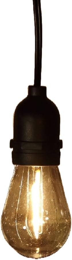 Hanging Connectable Festoon Lights 20 LED Bulbs 10.6