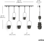 Hanging Planter for Window (Set of 5)