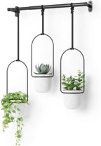 Hanging Planter for Window (Set of 5)