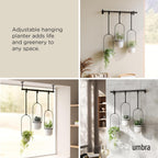 Hanging Planter for Window (Set of 5)