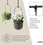 Hanging Planter for Window (Set of 5)