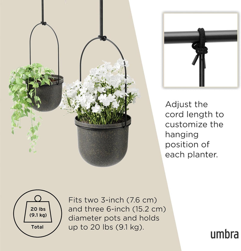 Hanging Planter for Window (Set of 5)