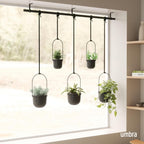 Hanging Planter for Window (Set of 5)