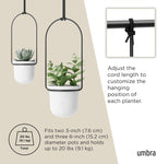 Hanging Planter for Window (Set of 5)
