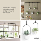 Hanging Planter for Window (Set of 5)