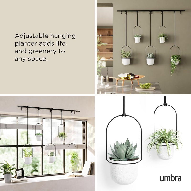 Hanging Planter for Window (Set of 5)