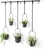 Hanging Planter for Window (Set of 5)