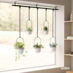 Hanging Planter for Window (Set of 5)