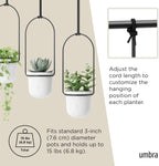 Hanging Planter for Window (Set of 5)