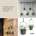 Hanging Planter for Window (Set of 5)