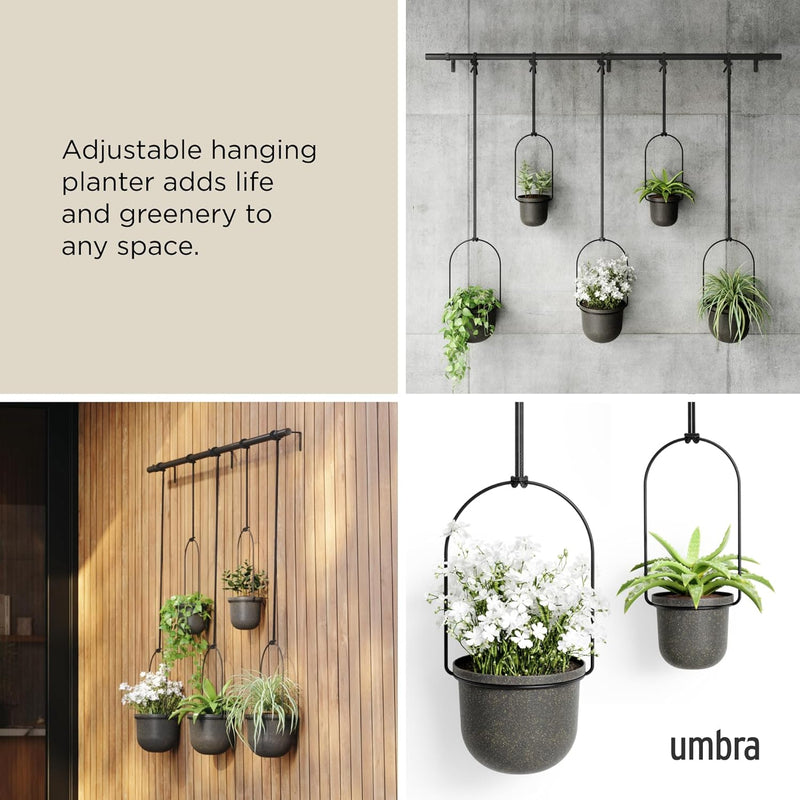 Hanging Planter for Window (Set of 5)