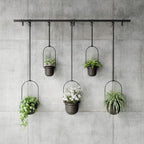 Hanging Planter for Window (Set of 5)