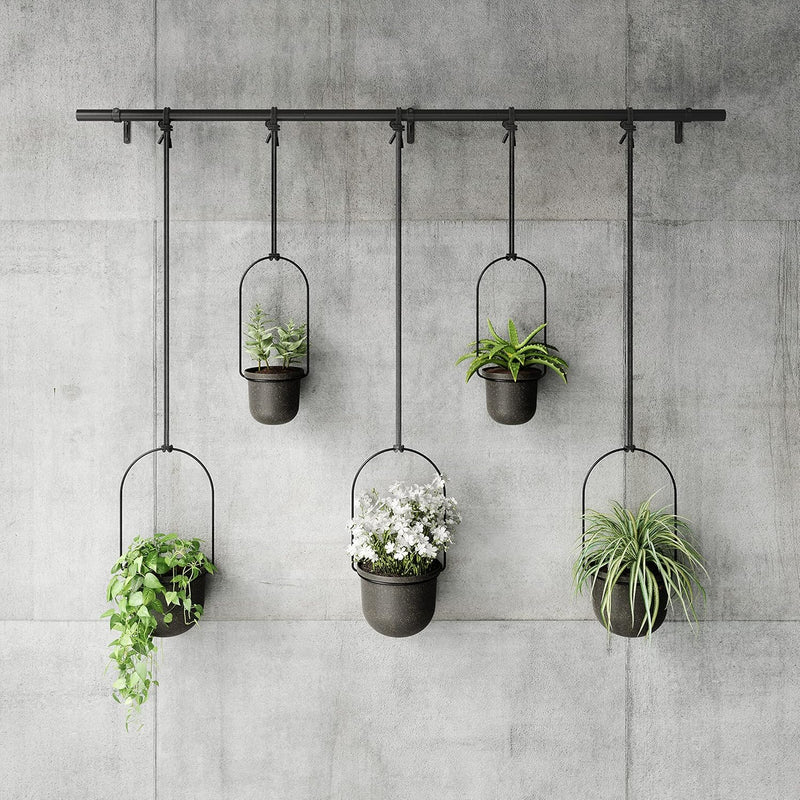 Hanging Planter for Window (Set of 5)