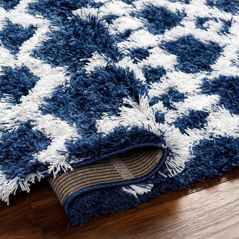 Hapsburg Moroccan Shag Area Rug 2' X 2'11"
