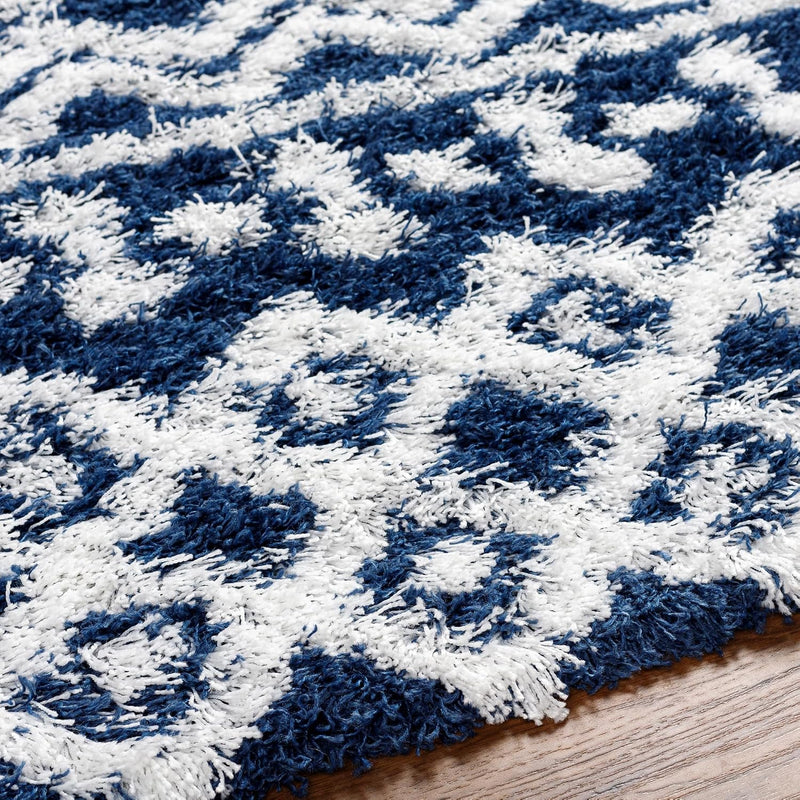 Hapsburg Moroccan Shag Area Rug 2' X 2'11"