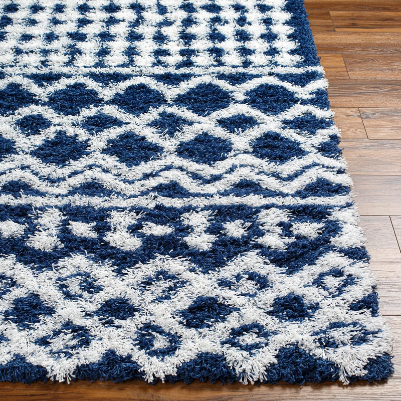 Hapsburg Moroccan Shag Area Rug 2' X 2'11"