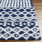 Hapsburg Moroccan Shag Area Rug 2' X 2'11"