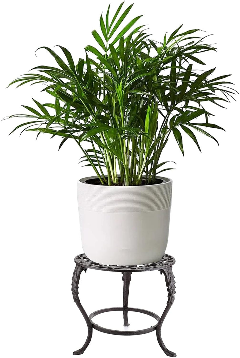 Heavy Duty Cast Iron Plant Stand Rust Proof
