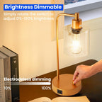 Homelist Dimmable Bedside Lamps Industrial Retro with USB (Set of 2)