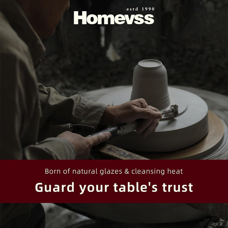 Homevss Dinnerware Set Service for 4 Plates (16 Piece)