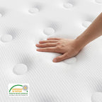 Mattress Pocket Sprung in a Box
