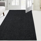Indoor Area Rug Entrance