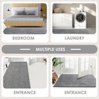 Indoor Area Rug Entrance