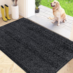 Indoor Area Rug Entrance