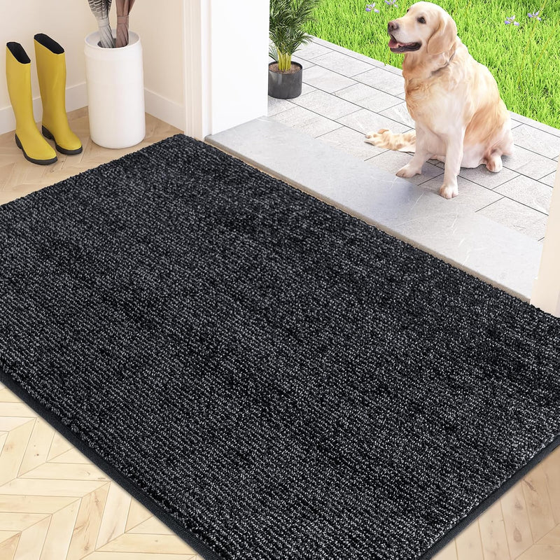 Indoor Area Rug Entrance