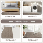 Indoor Area Rug Entrance