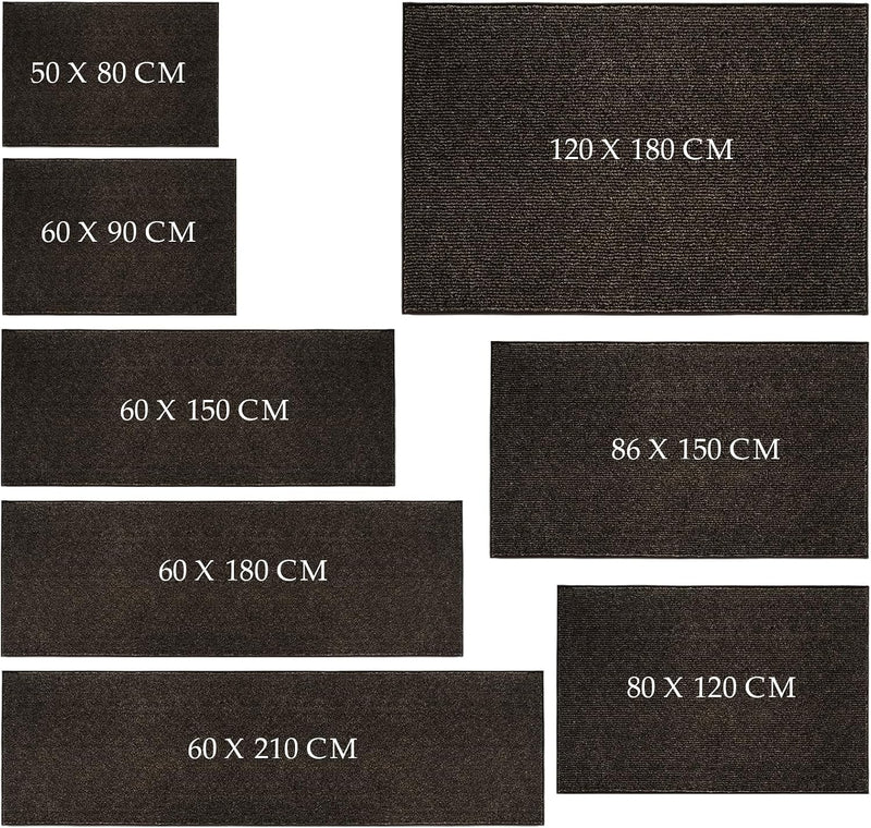 Indoor Area Rug Entrance