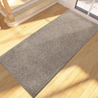 Indoor Area Rug Entrance