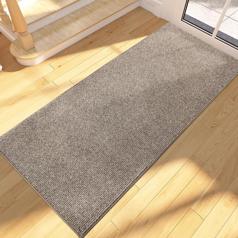 Indoor Area Rug Entrance