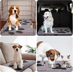 Indoor Door Mat Washable