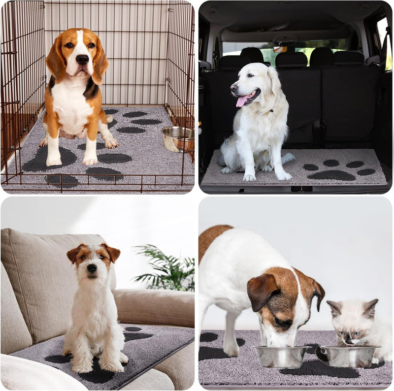 Indoor Door Mat Washable
