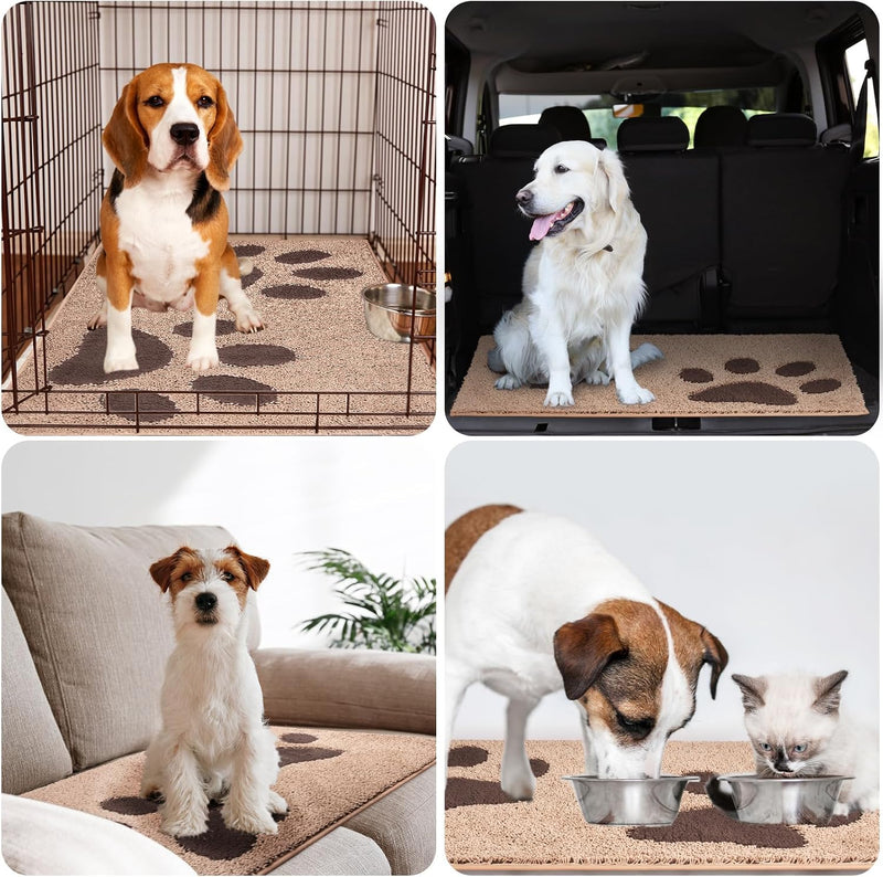Indoor Door Mat Washable