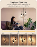 Industrial Floor Lamp Dimmable Standing with Wire Cage