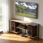 Industrial Shelf TV Furniture Piece 114 X 30