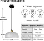Industrial Vintage Pendant Light with Round Glass Shade