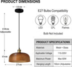 Industrial Vintage Pendant Light with Round Glass Shade
