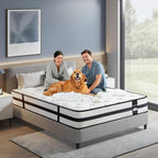 Inofia Sleep Mattress Memory Foam 11 Inch Hybrid