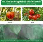 Insect Protection Netting 2.5m X 10m Vegetable Plant
