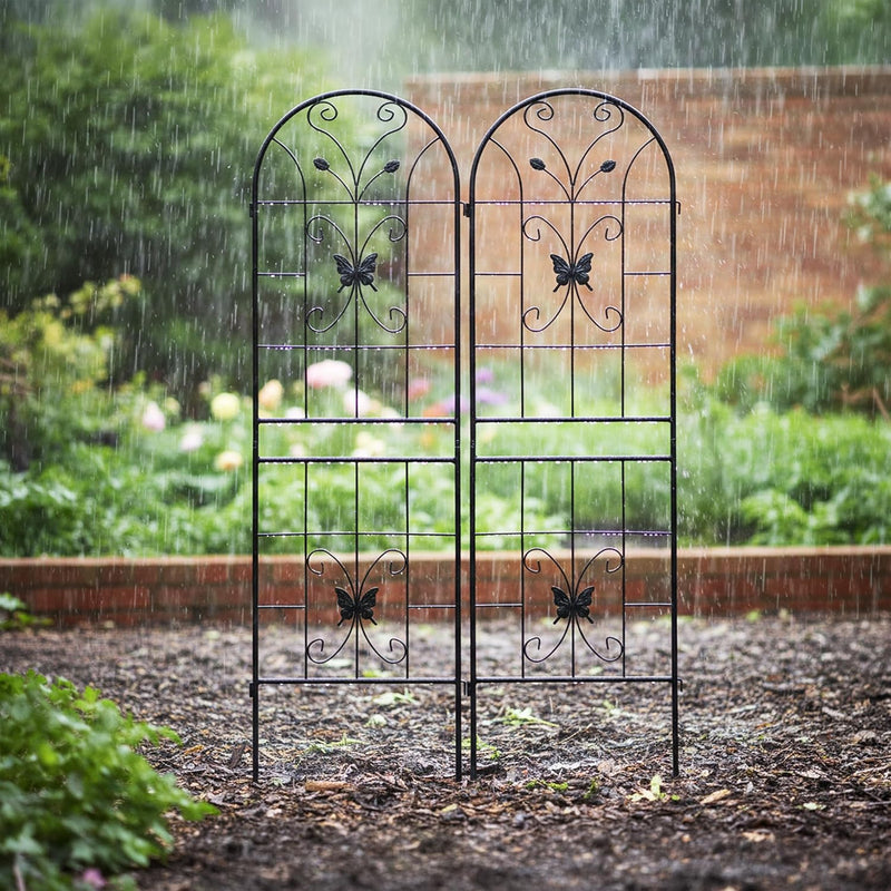 Iron Rose Trellises Garden Climbing Supports (Set of 2)